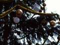 098 Ferrero-Weihnachtsbaum