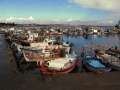 20 Larnaka Hafen