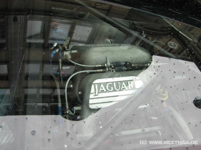 603 Jaguar