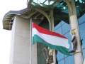273 Ungarns Flagge