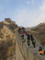 9163 Great Wall