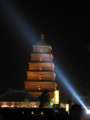 9386 Big Goose Pagoda