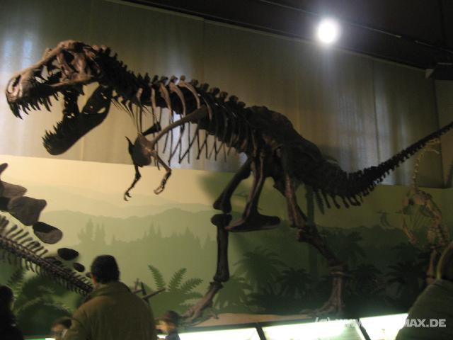 2470_Tyrannosaurus