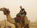 4515_High_on_Camel