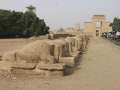 5123_Sphinx-Allee_Karnak