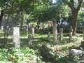 9651_Friedhof