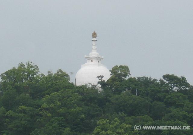 5267_Pagoda