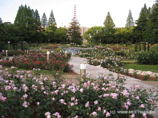 5342_Otsubo-Park