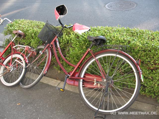 9648_Fahrradhandschuhe