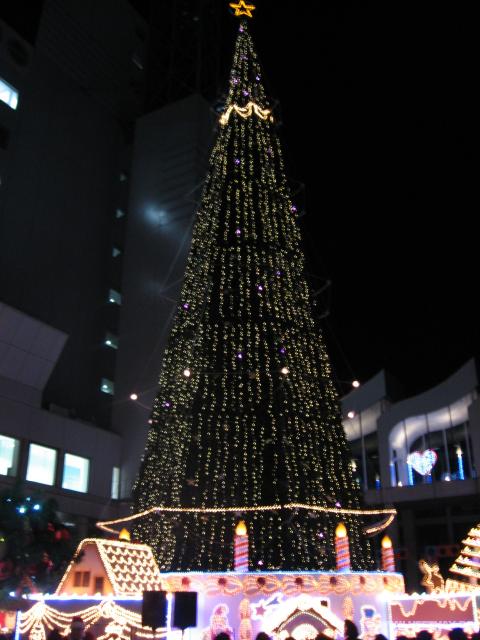 3026_Christmas_tree