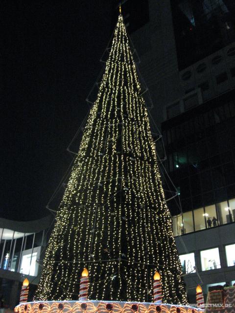 3188_Christmas_tree