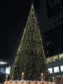 3188_Christmas_tree