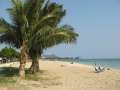 8380_Ala_Moana_beach_park