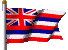 Flagge Hawaii