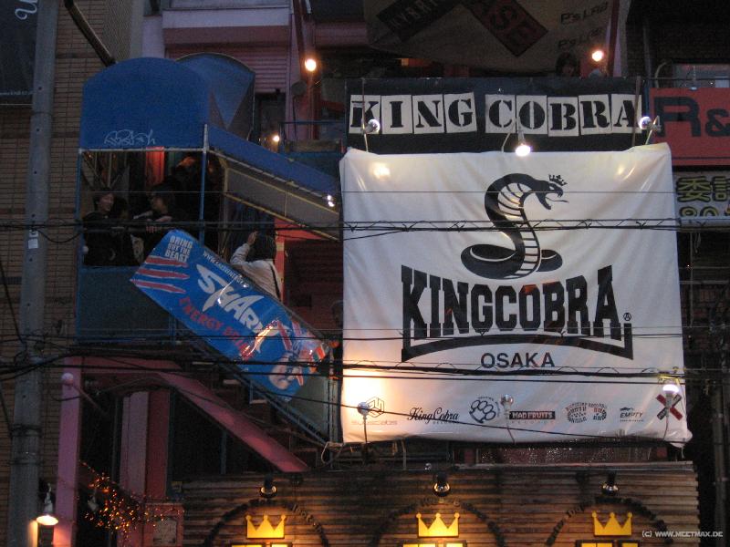 6144_King_Cobra