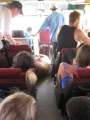 1372_Pig_in_the_bus