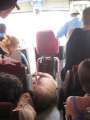 1373_Pig_in_the_bus
