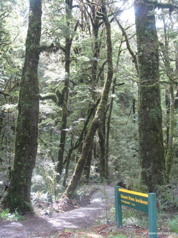 1071_Haast_Pass_Lookout