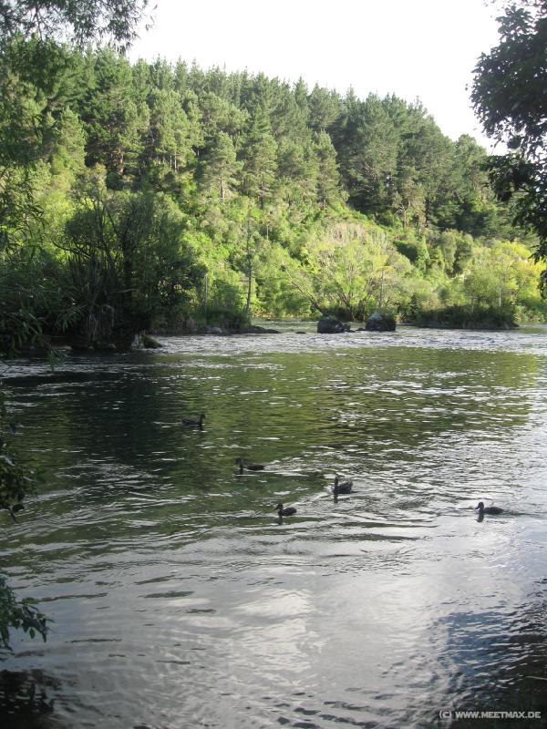 1561_Waikato_River