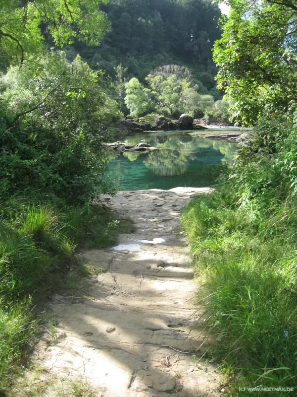 1576_Waikato_River