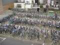 2149_Holland_bikes