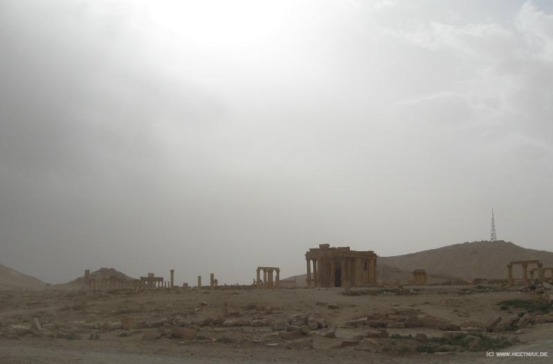 4449_Palmyra