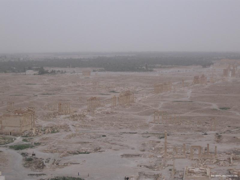 4546_Palmyra