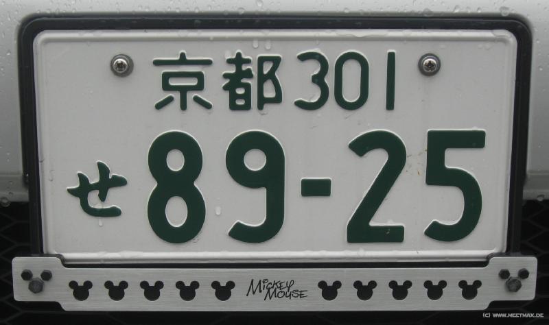1795_Disney_number_plate