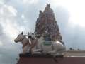 5384_Hindu_temple