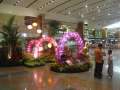 6940_Changi_Airport