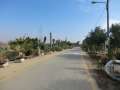 0915_Kibbutz_road