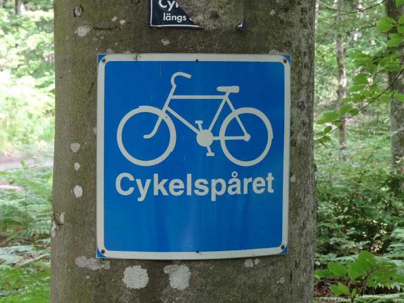 0309_Cykelsparet