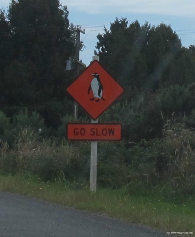 1509_Penguin_sign