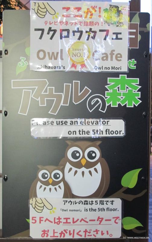 1909_Owl_Cafe