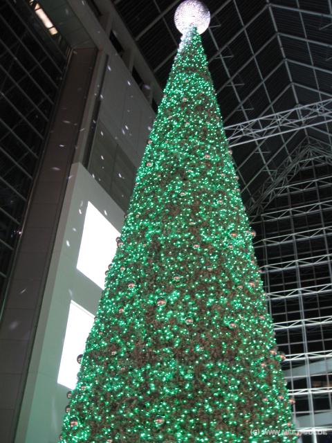Weihnachtsbaum in Kobe