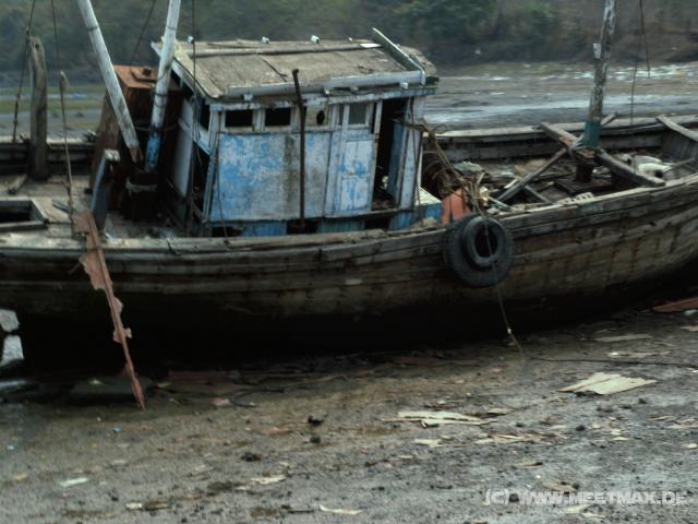 31 Wrack