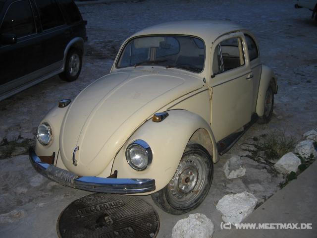 46 K�fer