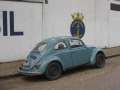 2447_Beetle